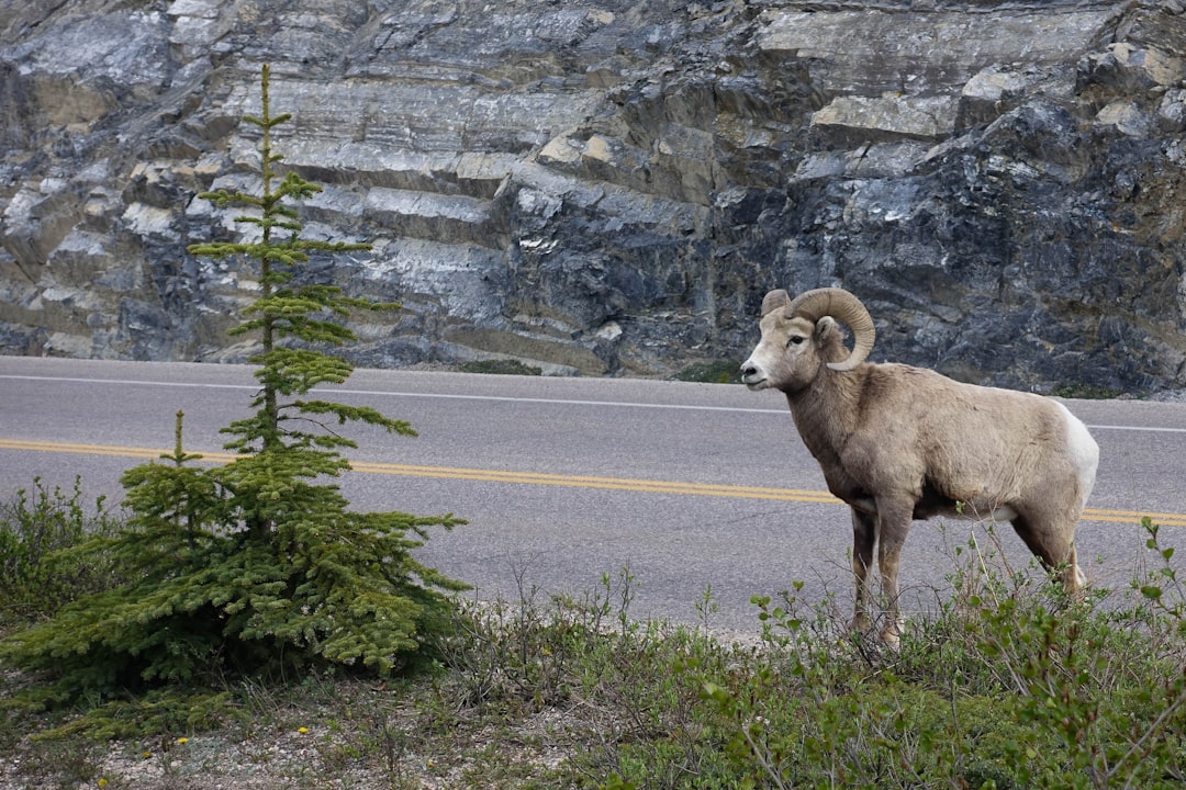 Photo ram, annoyance
